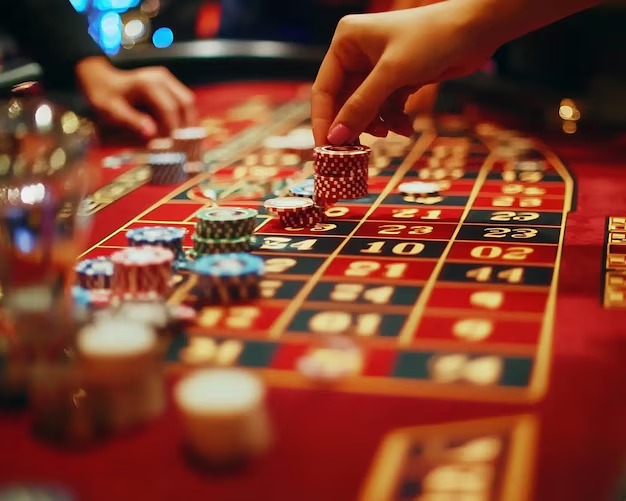evo303 What's Inside Our Live Casino